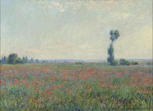 Claude Monet, Champ de coquelicots, 1881, collection Museum Boijmans Van Beuningen, Rotterdam | Acquired with the collection of: D.G. van Beuningen 1958