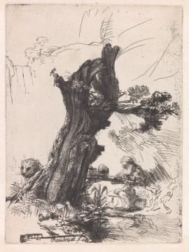 Rembrandt van Rijn  De heilige Hieronymus bij een knotwilg, 1648 DN 1979/300 (PK) Collectie Museum Boijmans Van Beuningen, Rotterdam. Schenking Dr. A.J. Domela