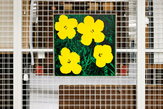 Elaine Sturtevant, Study for Warhol Flowers, 1965