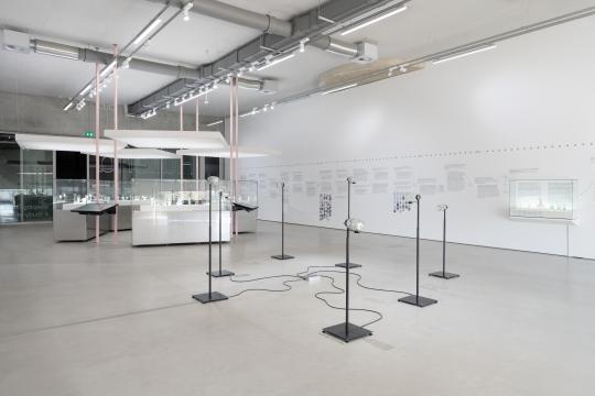 Fotografie: Lotte Stekelenburg