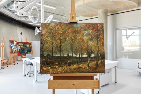 Vincent van Gogh, De populierenlaan bij Nuenen (1885). Collectie Museum Boijmans Van Beuningen, Rotterdam / Fotografie: Lotte Stekelenburg