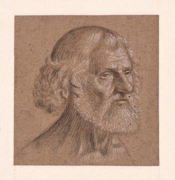 Vittore Carpaccio, Head of a Bearded Man, c. 1497-98. Loan Stichting Museum Boijmans Van Beuningen (former Koenigs collection), 1940