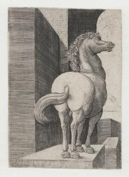 Fig. 7 Frans Crabbe van Espleghem, ‘A Horse’, c. 1520/30, etching and engraving, 14.1 x 10 cm, Museum Boijmans Van Beuningen, Rotterdam
