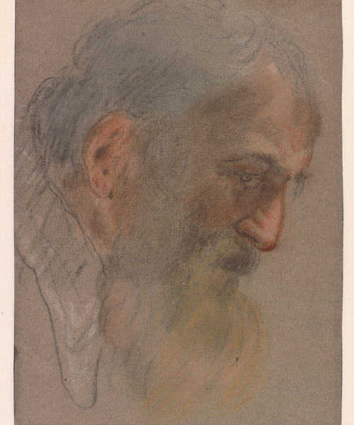 Jacopo Bassano (Jacopo da Ponte). Hoofd van een bebaarde man in profiel naar rechts. Circa 1560. Collectie Museum Boijmans Van Beuningen, Rotterdam.