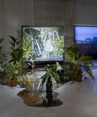 Laure Prouvost, Las Pozas Gathering, 2025