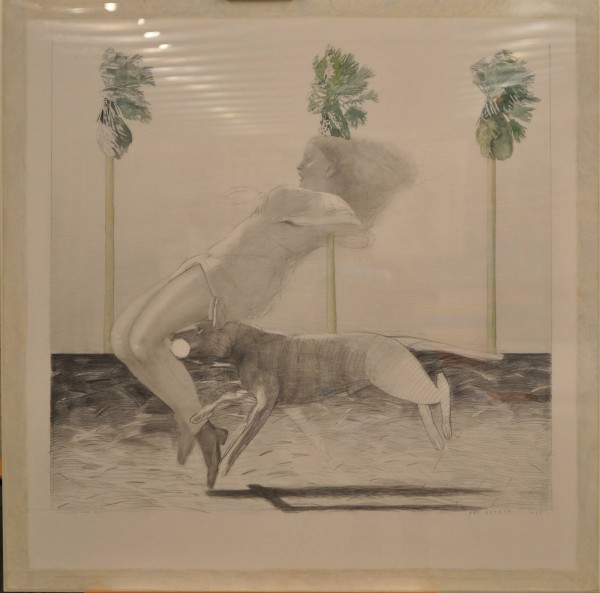 Een domme hond - Andrea