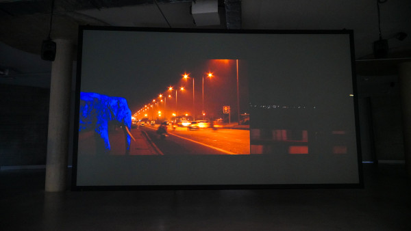 Drawing Probable Conclusions