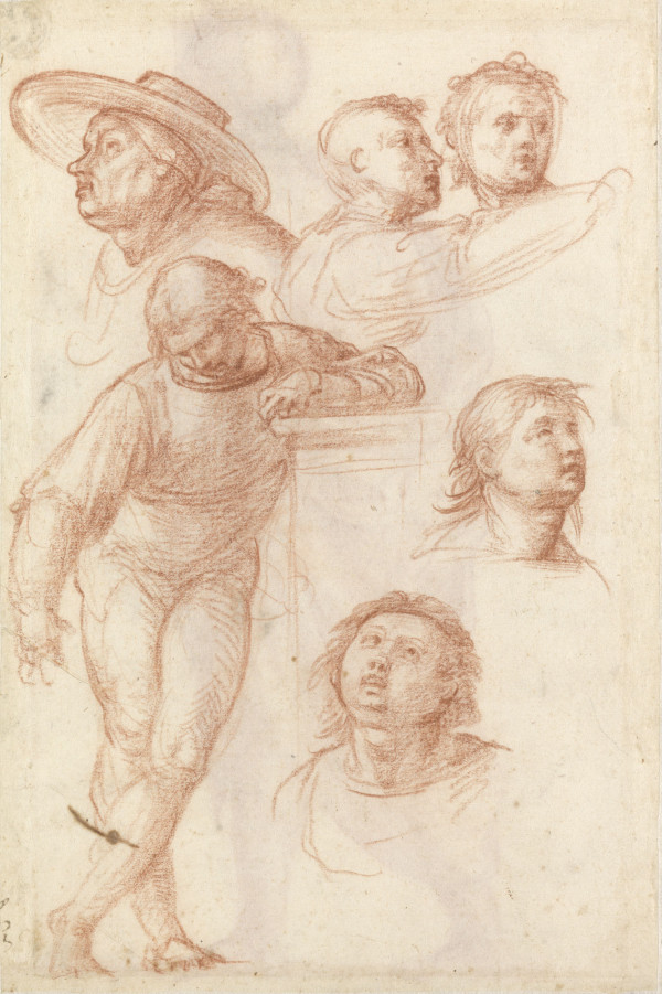 Italian Renaissance Drawings