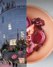 Entree Depot + Renilde