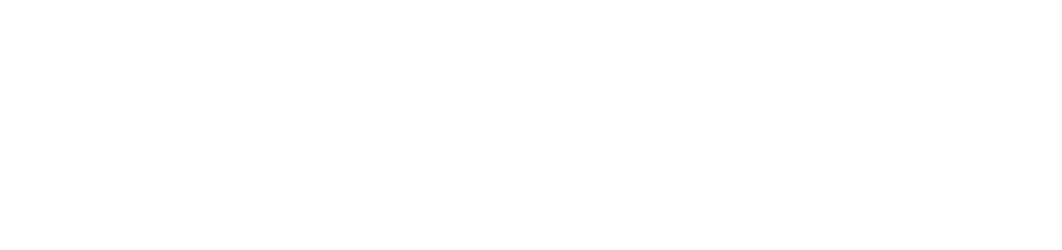 stichting droom en daad